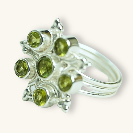 French Bouquet Ring | 925 Silver Base studded with precious stones