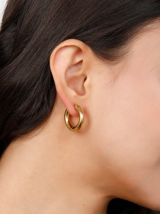 Bold Hoops Earrings